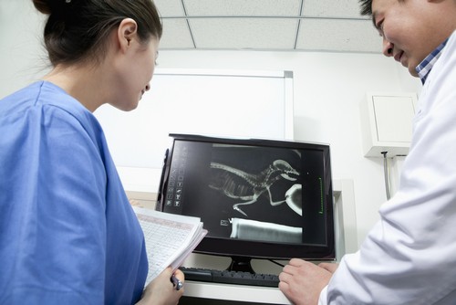 Advanced Digital X-rays  Ventura, CA